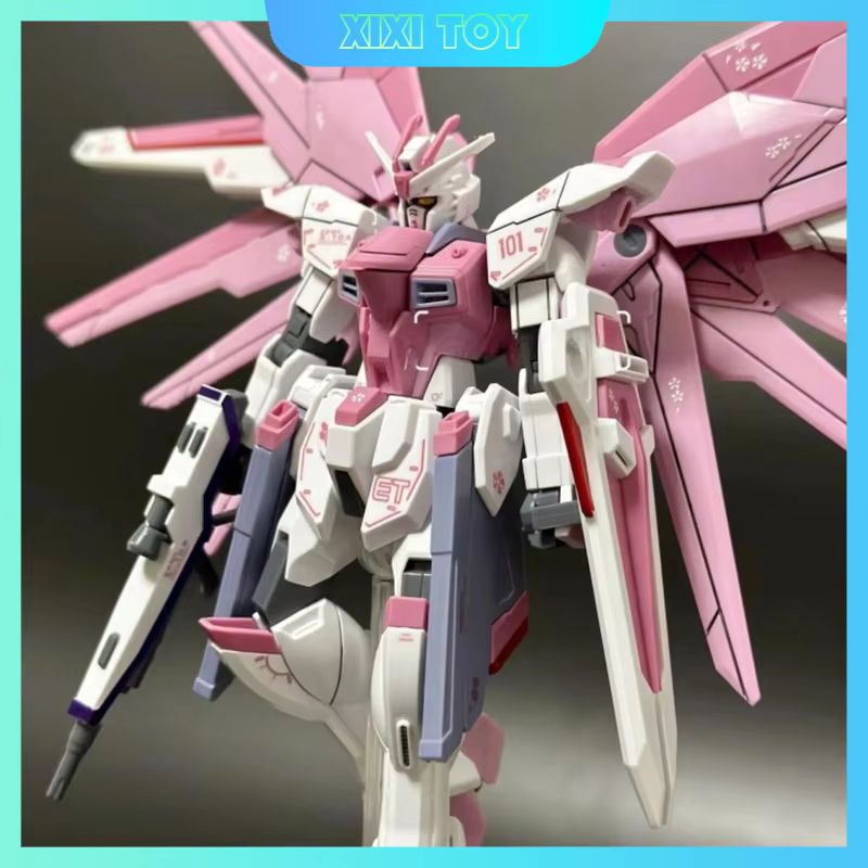 JMS HG 1/144 ZY-06 Freedom Ass - Bandai Model Gundam Hg reseña y precio