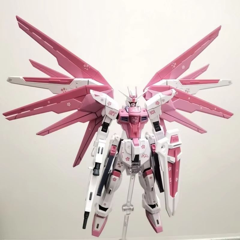 JMS HG 1/144 ZY-06 Freedom Ass - Bandai Model Gundam Hg reseña y precio