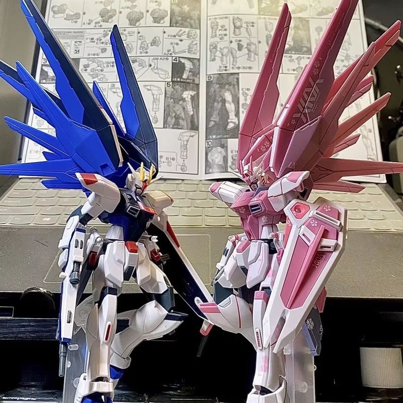 JMS HG 1/144 ZY-06 Freedom Ass - Bandai Model Gundam Hg reseña y precio